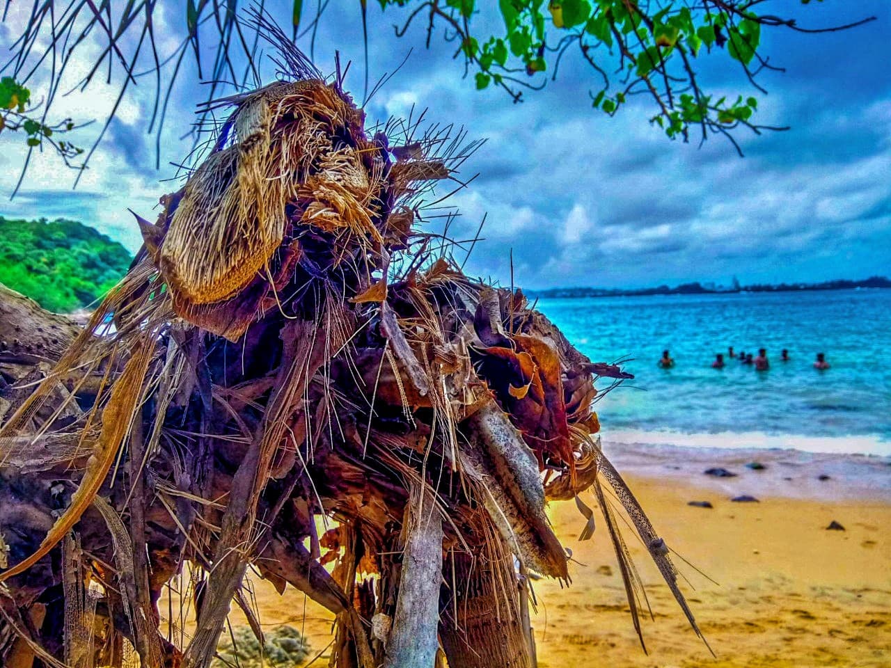 Jungle Beach