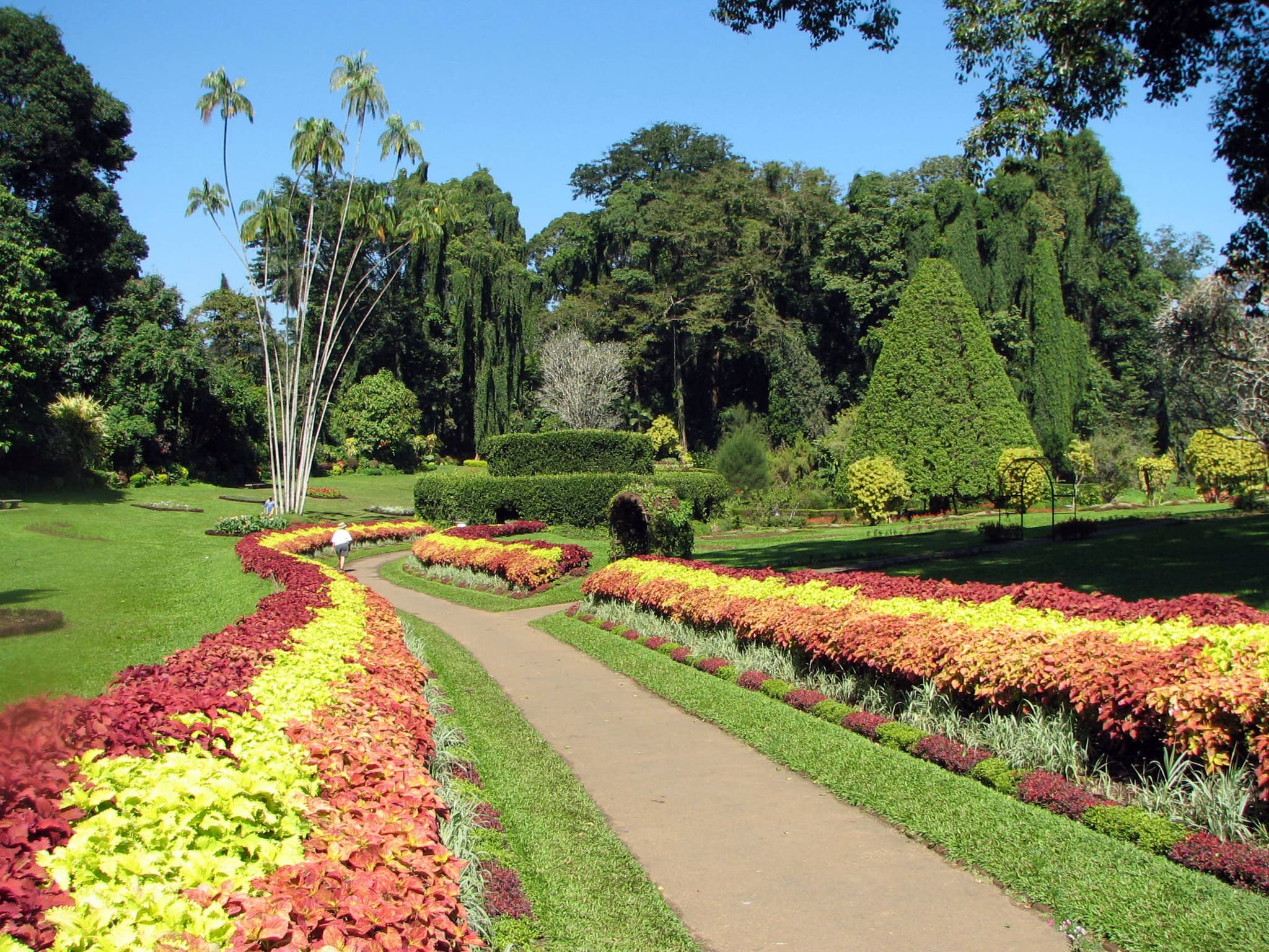 Royal Botanical Gardens Peradeniya