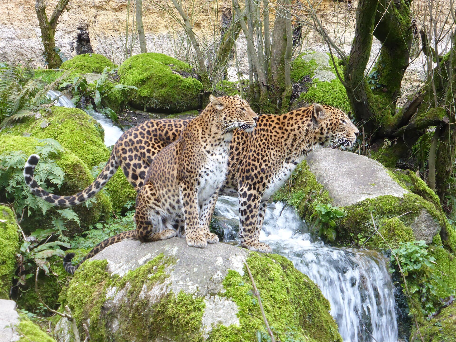 Explore Yala & The Deep South Wilds