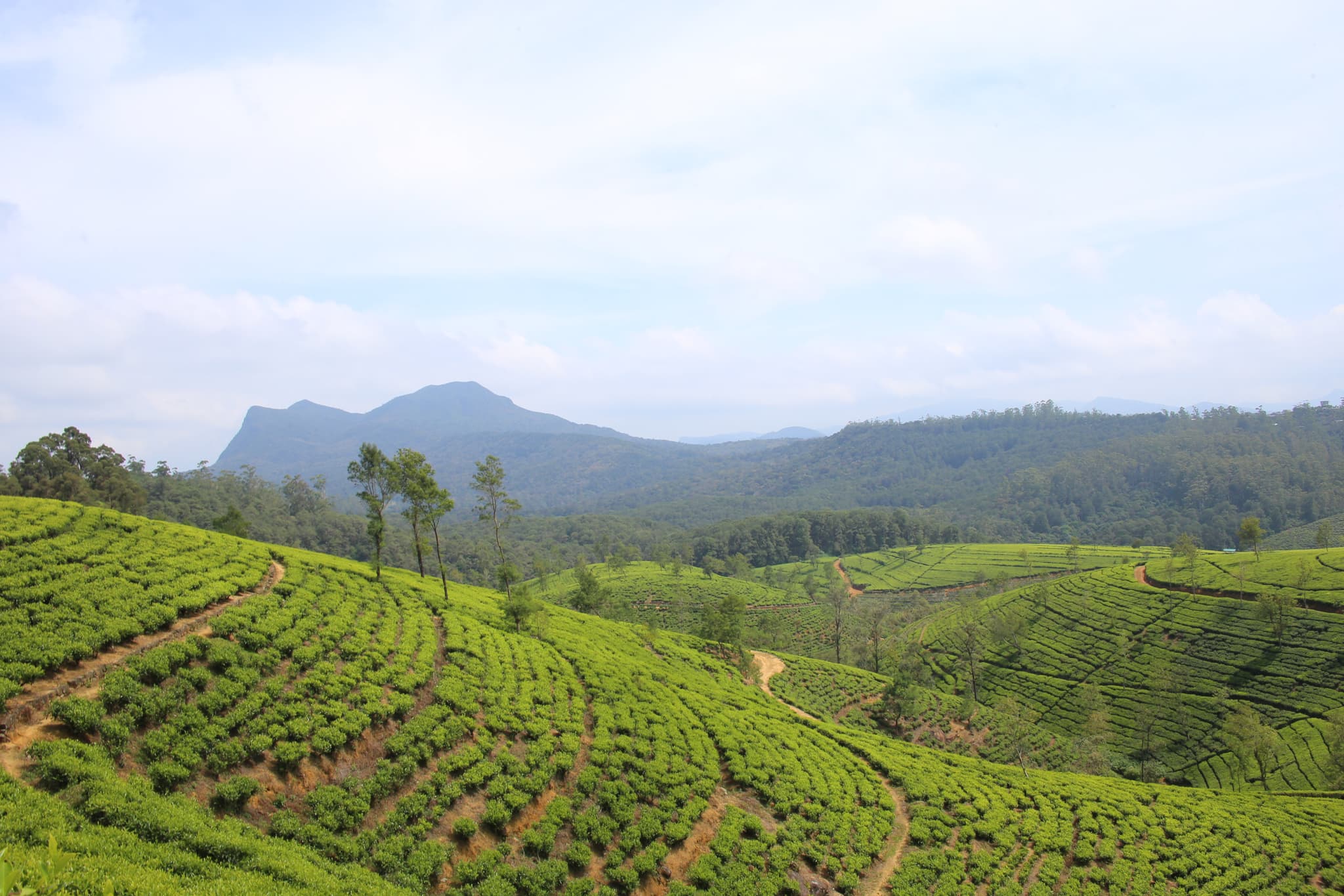 Sri Lanka scenic landscapes
