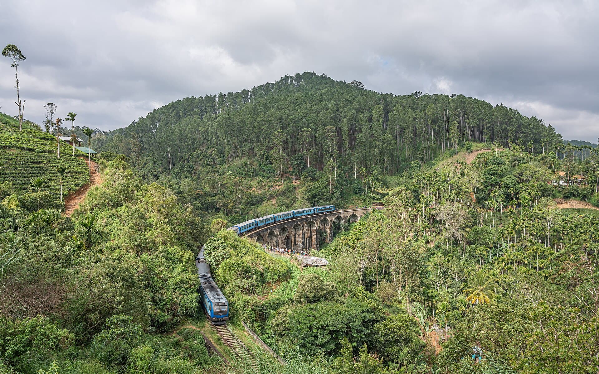 Ella Highlands & Tea Country Escape